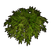Bambu Artificial C