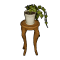 Topfpflanze auf Stuhl