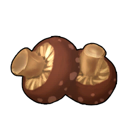 Baked Mushroom
