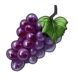 Grape