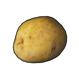 Potato